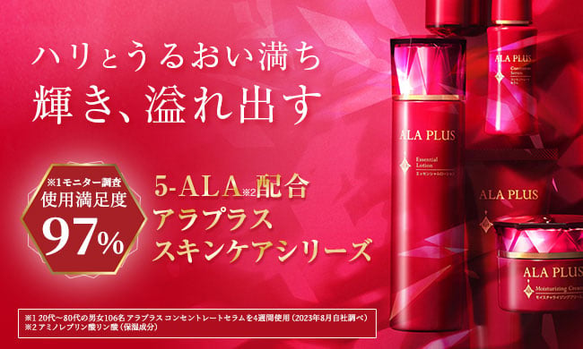 SBIホールディングス　優待販売例
