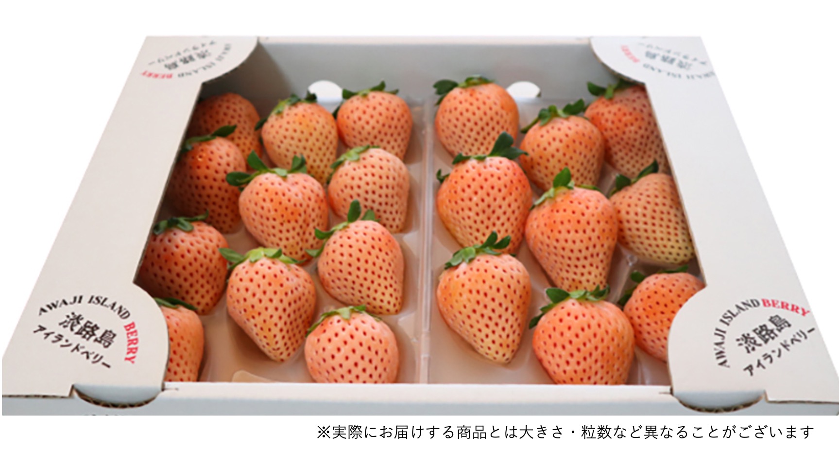 淡路島産「白いちご」