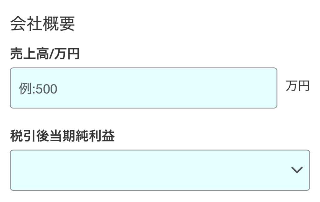 売上高に副業と本業の収入を記入する